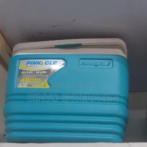 Ice Cooler 10ltrs