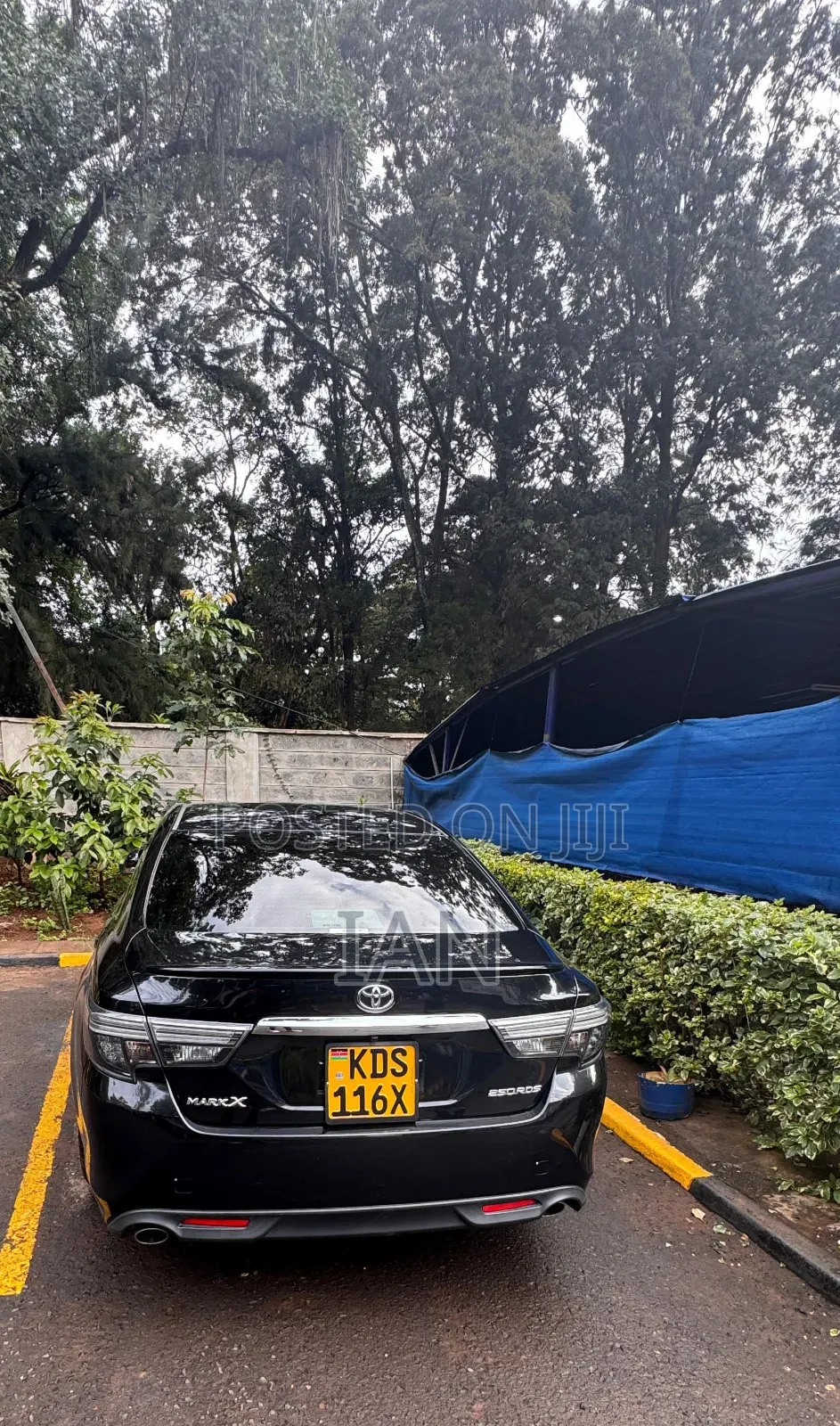 Toyota Mark X 2017 Black