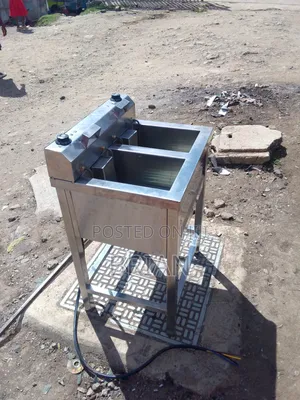 Stainless Steel Fryer