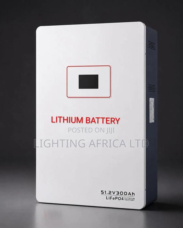 15kwh - 51.2v Lithium Ion Battery (300ah) Top Quality Battery