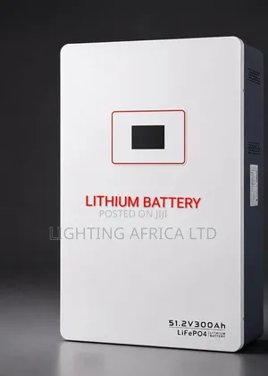 15kwh - 51.2v Lithium Ion Battery (300ah) Top Quality Battery