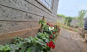2bdrm House in Waiyaki Way, Regen for sale