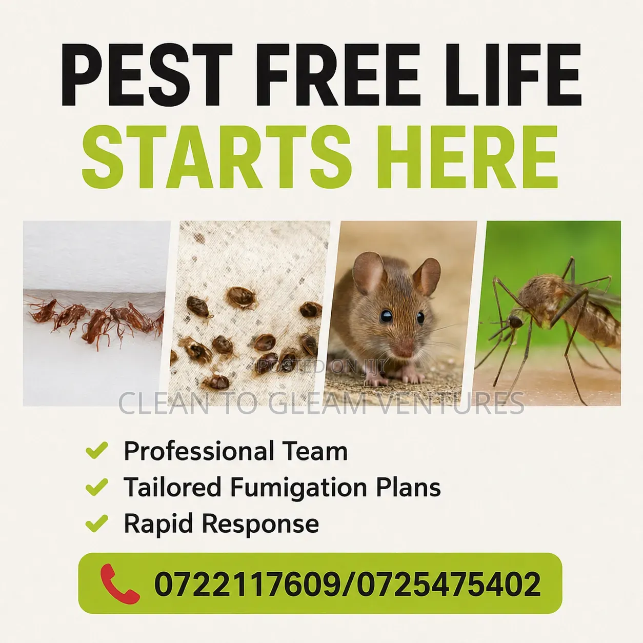 Integrated Pest Management/Professional Cleaning/Property Hygiene Sols