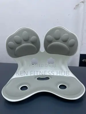 Back Support