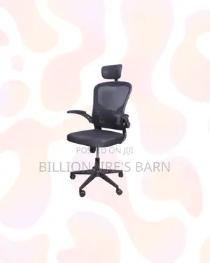 Grey Ergonomic Office Chair With Headrest for Daily Office Comfort