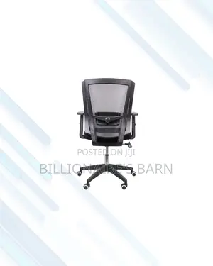 Practical Barn Origin Chair Mid Back Nylon for Daily Office Comfort