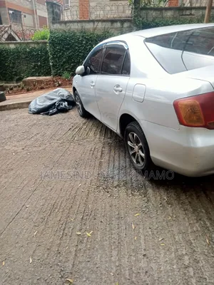 Toyota Axio 2007 Silver
