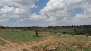 50 X 100 Tuala Plot
