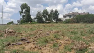 50 X 100 Tuala Plot