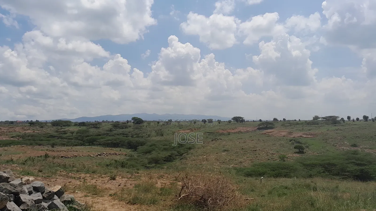 50 X 100 Tuala Plot