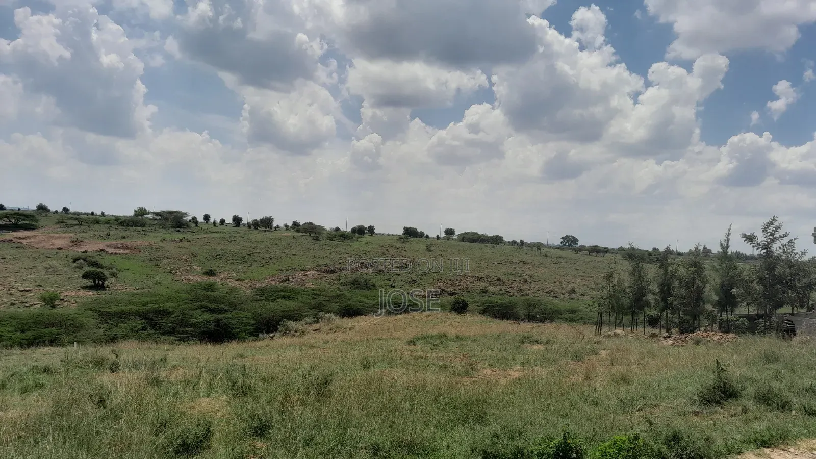 50 X 100 Tuala Plot