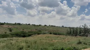 50 X 100 Tuala Plot