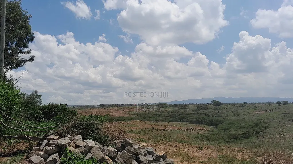 50 X 100 Tuala Plot