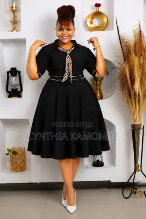 Elegant Ladies' Skater Dress