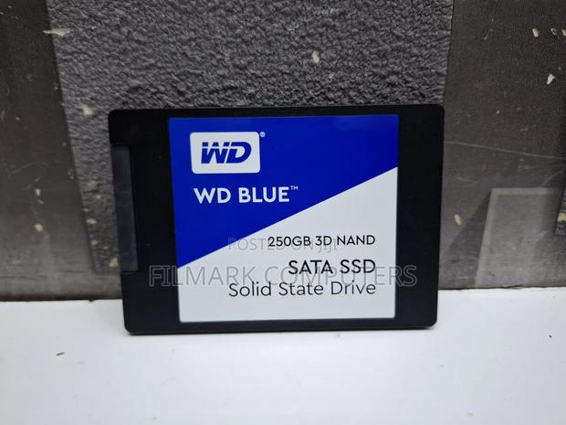 Western Digital Blue 3d Nand 250gb Sata SSD 2.5" Inch