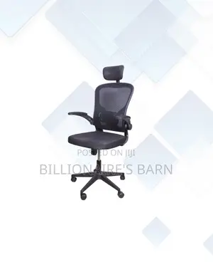 Grey Ergonomic Office Chair With Headrest for Home Office Use