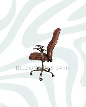 Ergonomic Executive Leather Chair High Back for Long Sitting Hours