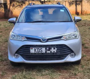 Toyota Corolla Fielder 2017 Silver