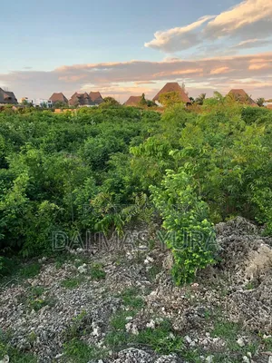 A Quarter an Acre Land in Watamu