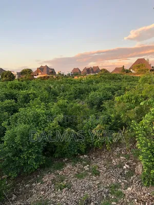 A Quarter an Acre Land in Watamu