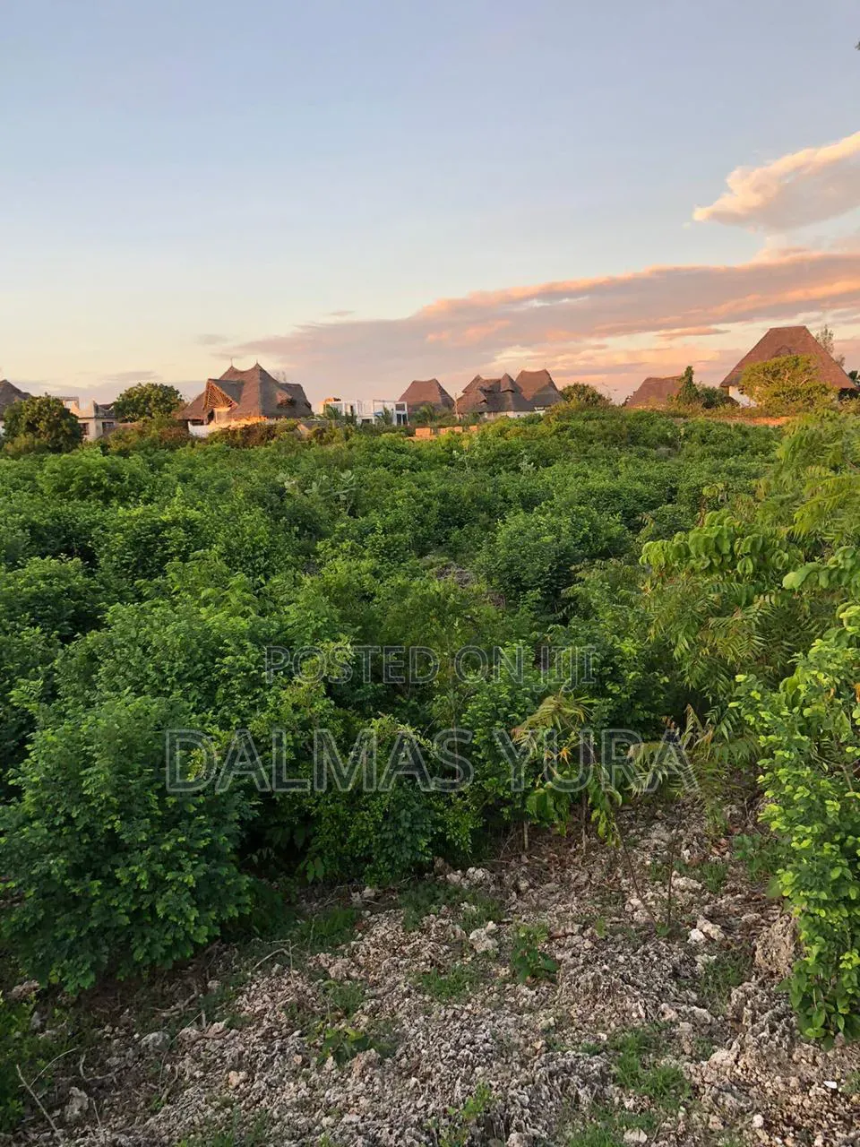 A Quarter an Acre Land in Watamu