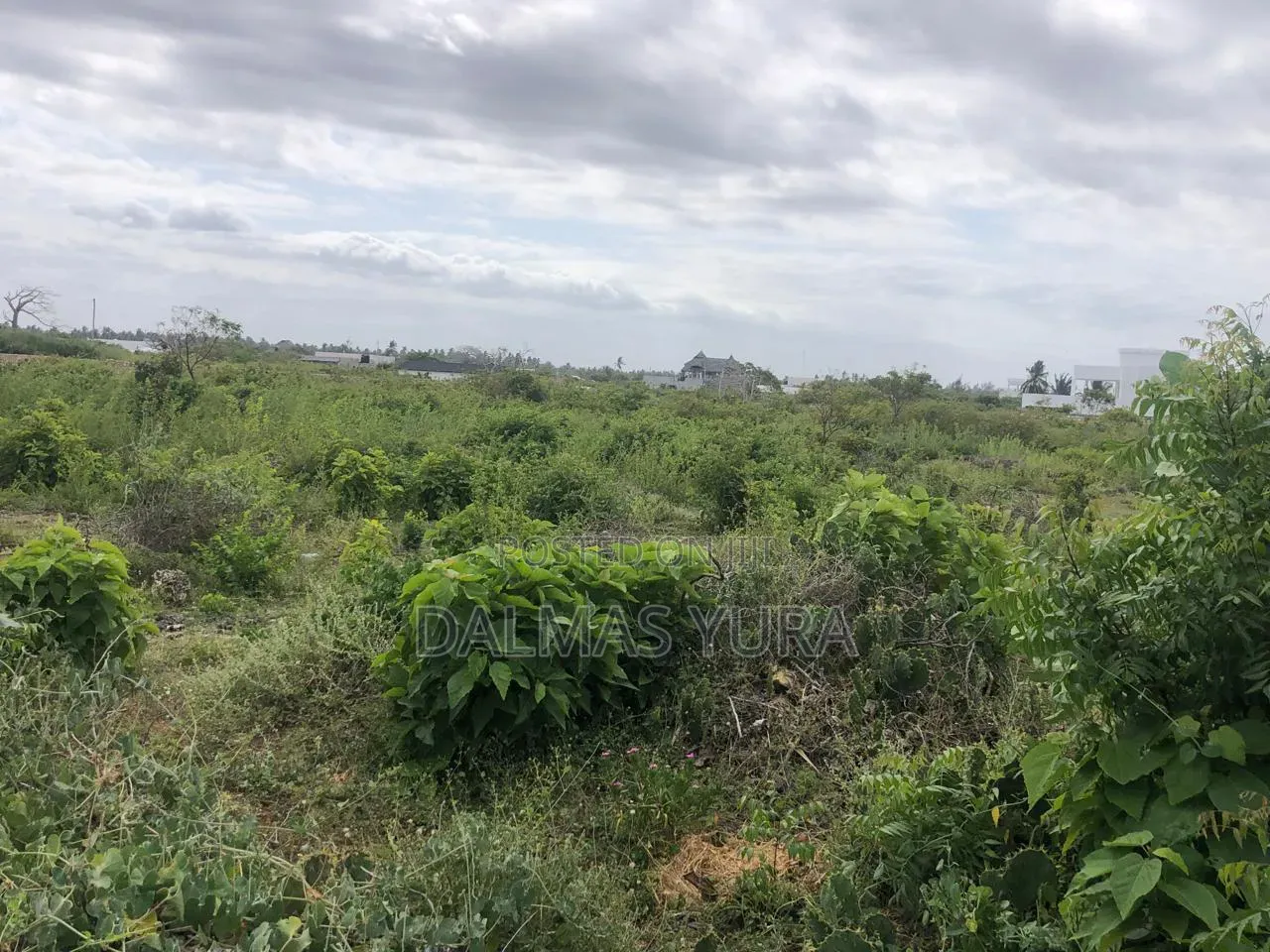 A Quarter an Acre Land in Watamu