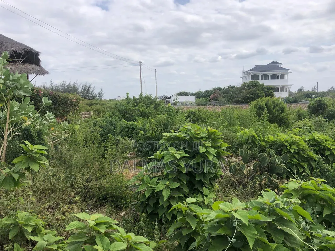 A Quarter an Acre Land in Watamu