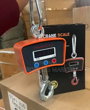 Digital Crane Scale 500kg
