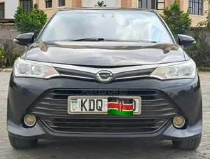 Toyota Corolla Fielder 2017 Black