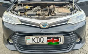 Toyota Corolla Fielder 2017 Black