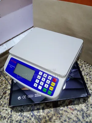 Electric Price Computing Scale Dt -580
