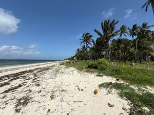 Serviced Beachfront Plots Kikambala