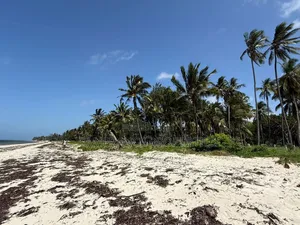 Serviced Beachfront Plots Kikambala