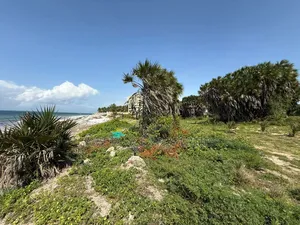 Prime 5acres Beachfront Nyali