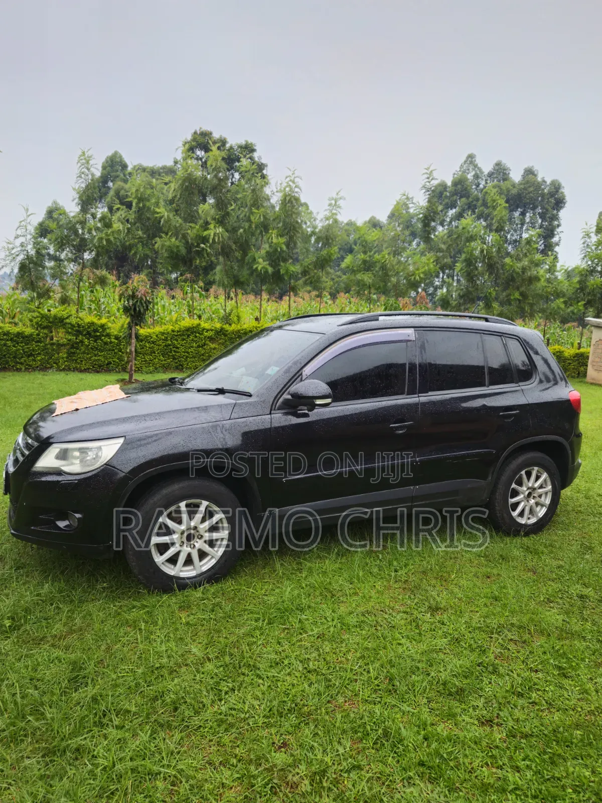 Volkswagen Tiguan 2011 Black