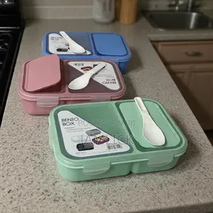 Silicone 2-Compartment Bento Lunch Box With Spoon –Hk
