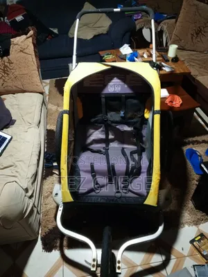 2 Seat Baby Stroller Bike