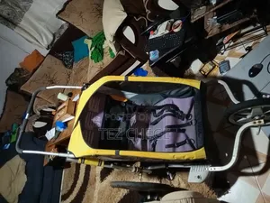 2 Seat Baby Stroller Bike