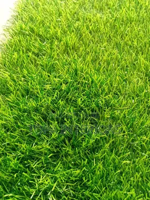 Fake Grass Mats Quality Fluffy Artificial Outdoor Carpets