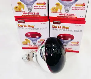 Chicken Bulb