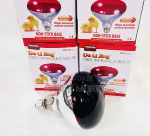 Chicken Bulb