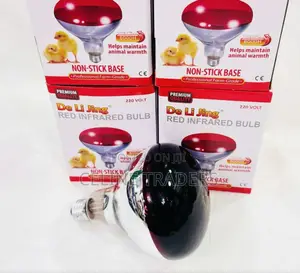 Chicken Bulb