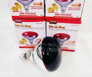 Chicken Bulb 6000hours Life