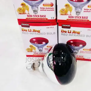 Chicken Bulb 6000hours Life