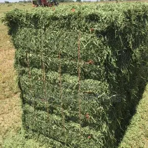 Lucerne Hay, Pellets Seeds