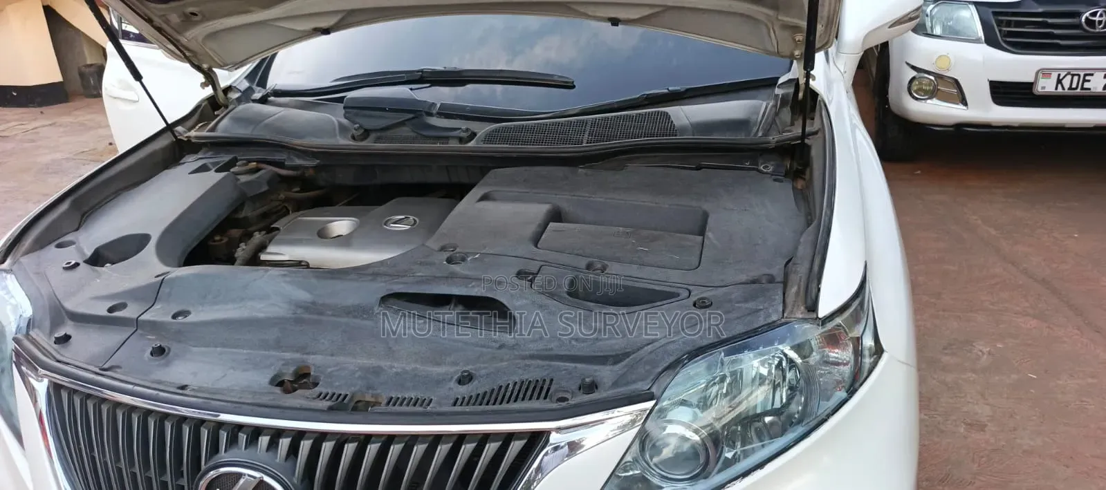 Lexus RX 2010 Pearl