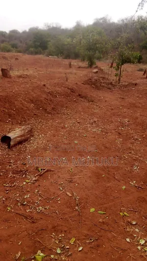 Land for Sale 5 Acres