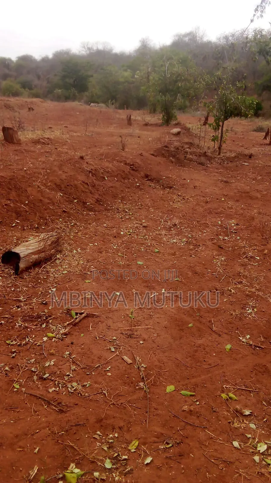 Land for Sale 5 Acres