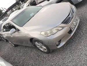 Toyota Mark X 2009 Gray