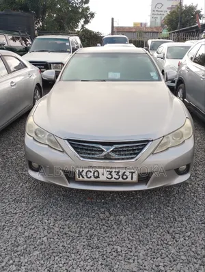 Toyota Mark X 2009 Gray